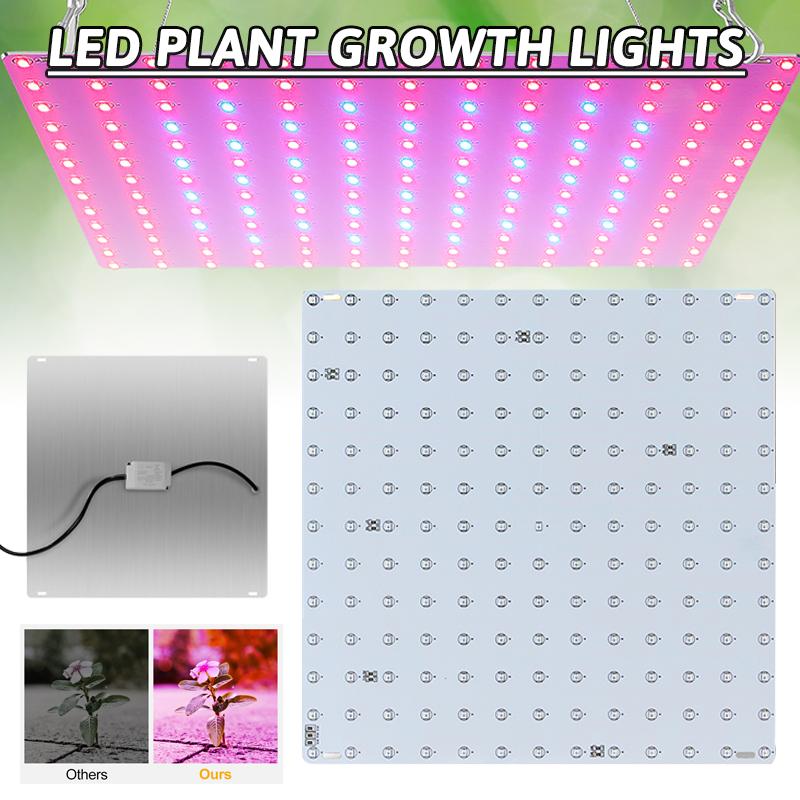 PDTO LED Grow Light Полный спектр Крытый гидропонный завод Овощной цветок Растение Лампа Панель
PDTO LED Grow Light Полный спектр Крытый гидропонный завод Овощной цветок Растение Лампа Панель