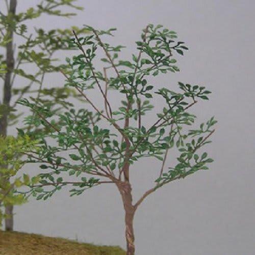 Watako Diorama Accessory Series 1/35 Miscellaneous Trees
Watako Diorama Accessory Series 1/35 Miscellaneous Trees