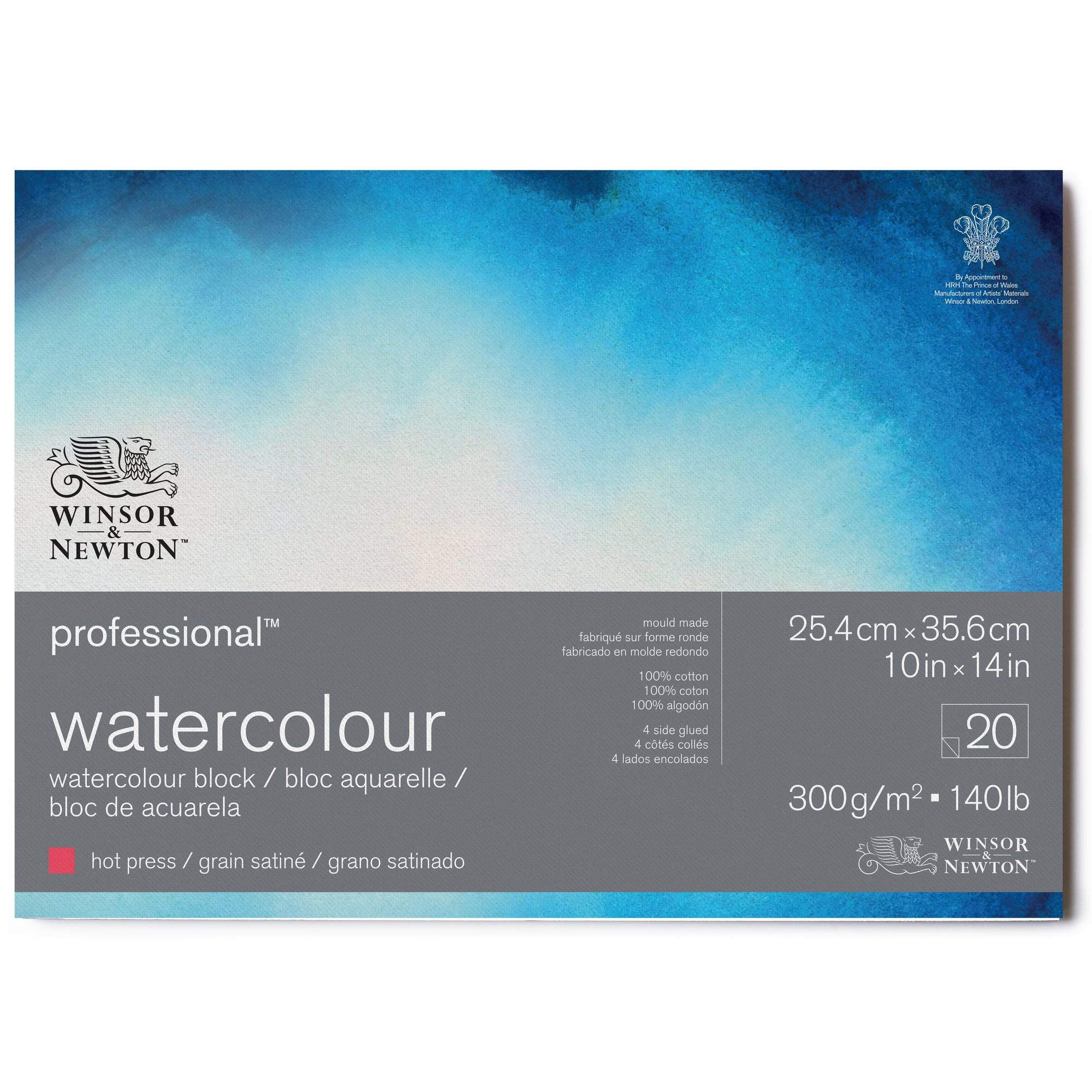 Winsor Newton Professional Watercolor Paper Block Bright Natural White Fine 300g x 20 sheets 19102007 & 25.4 35.6cm
Winsor Newton Professional Watercolor Paper Block Bright Natural White Fine 300g x 20 sheets 19102007 & 25.4 35.6cm