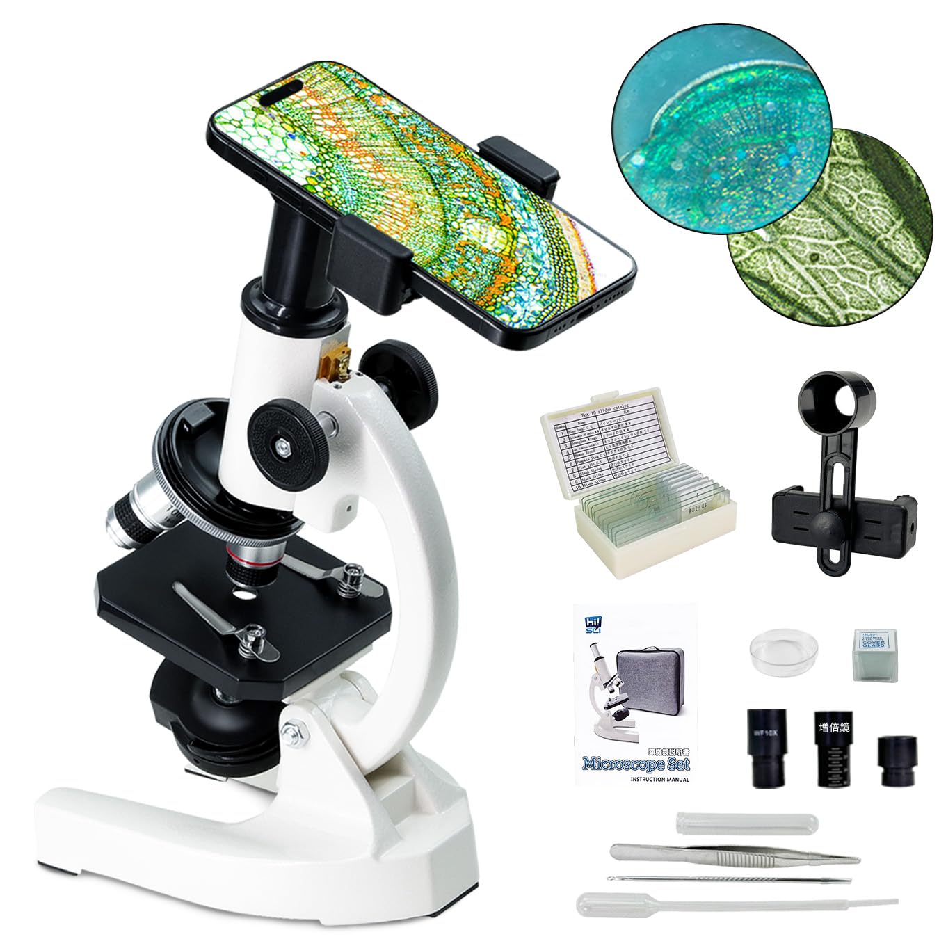 Microscope Elementary School Children Microscope Set Junior High School High School Biological Microscope Instruction Manual High Magnification
Microscope Elementary School Children Microscope Set Junior High School High School Biological Microscope Instruction Manual High Magnification