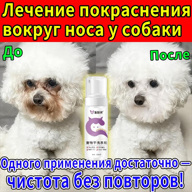 Pet Dry Shampoo Foam 200ml Anti Redness Around Mouth Natural Ingredients Hypoallergenic for Dogs Puppy
Pet Dry Shampoo Foam 200ml Anti Redness Around Mouth Natural Ingredients Hypoallergenic for Dogs Puppy