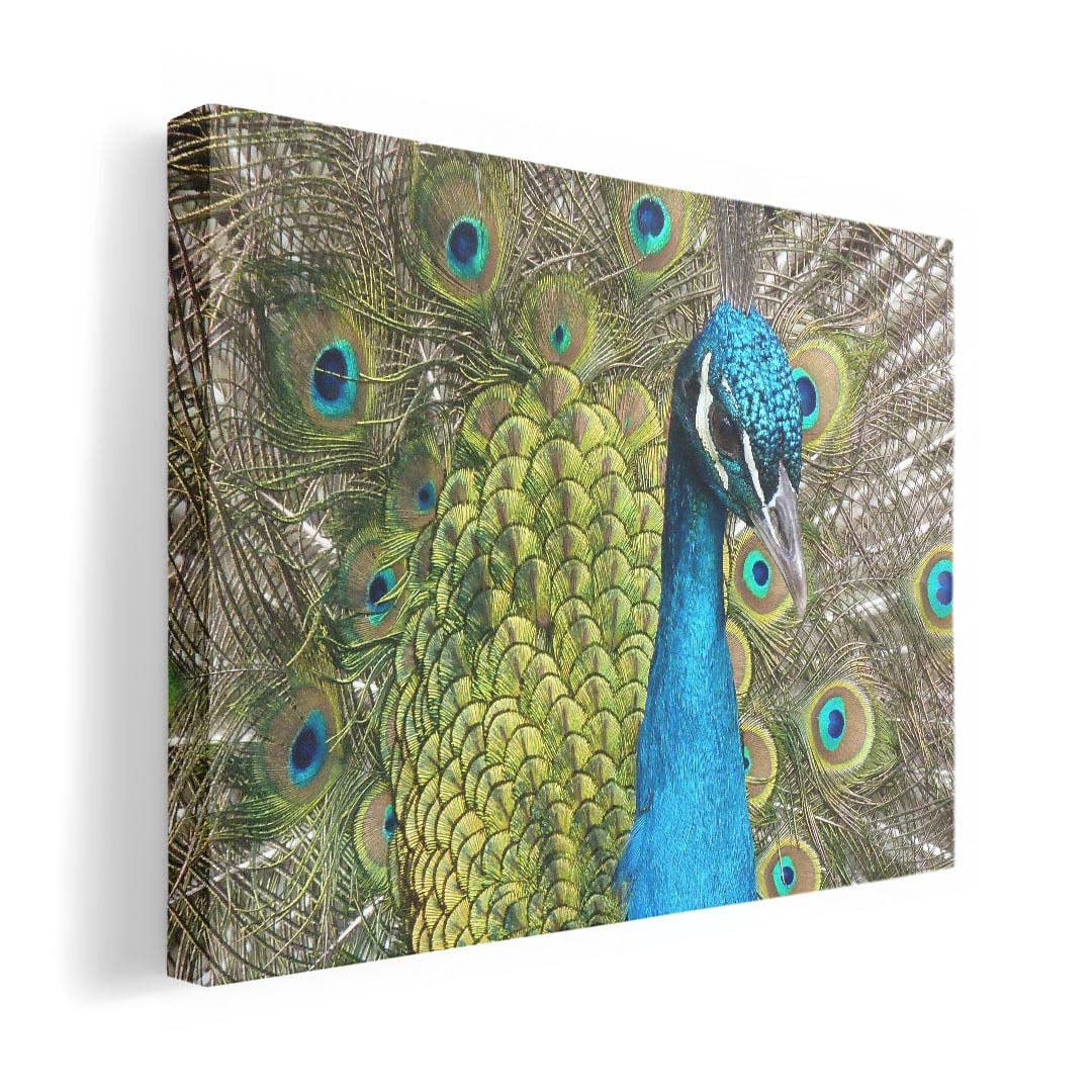 Art 420mm x Wall Wooden Stylish Interior Feather Panel, Painting, Decoration, igsticker, 297mm, A3, Photo, Hanging, Frame, Decor, 026029, Peacock,
Art 420mm x Wall Wooden Stylish Interior Feather Panel, Painting, Decoration, igsticker, 297mm, A3, Photo, Hanging, Frame, Decor, 026029, Peacock,
