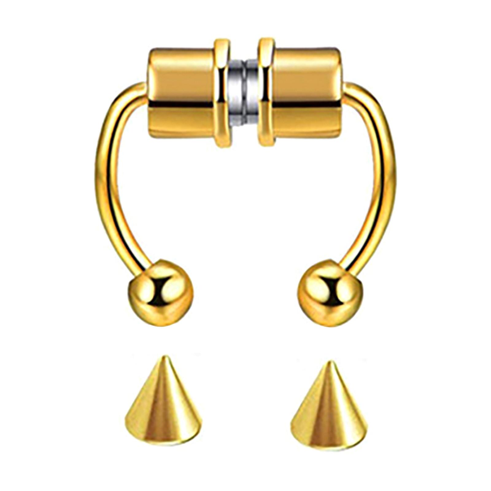 Поддельное кольцо в носу, магнитные кольца-подковы из нержавеющей стали 316L золотой
Поддельное кольцо в носу, магнитные кольца-подковы из нержавеющей стали 316L золотой