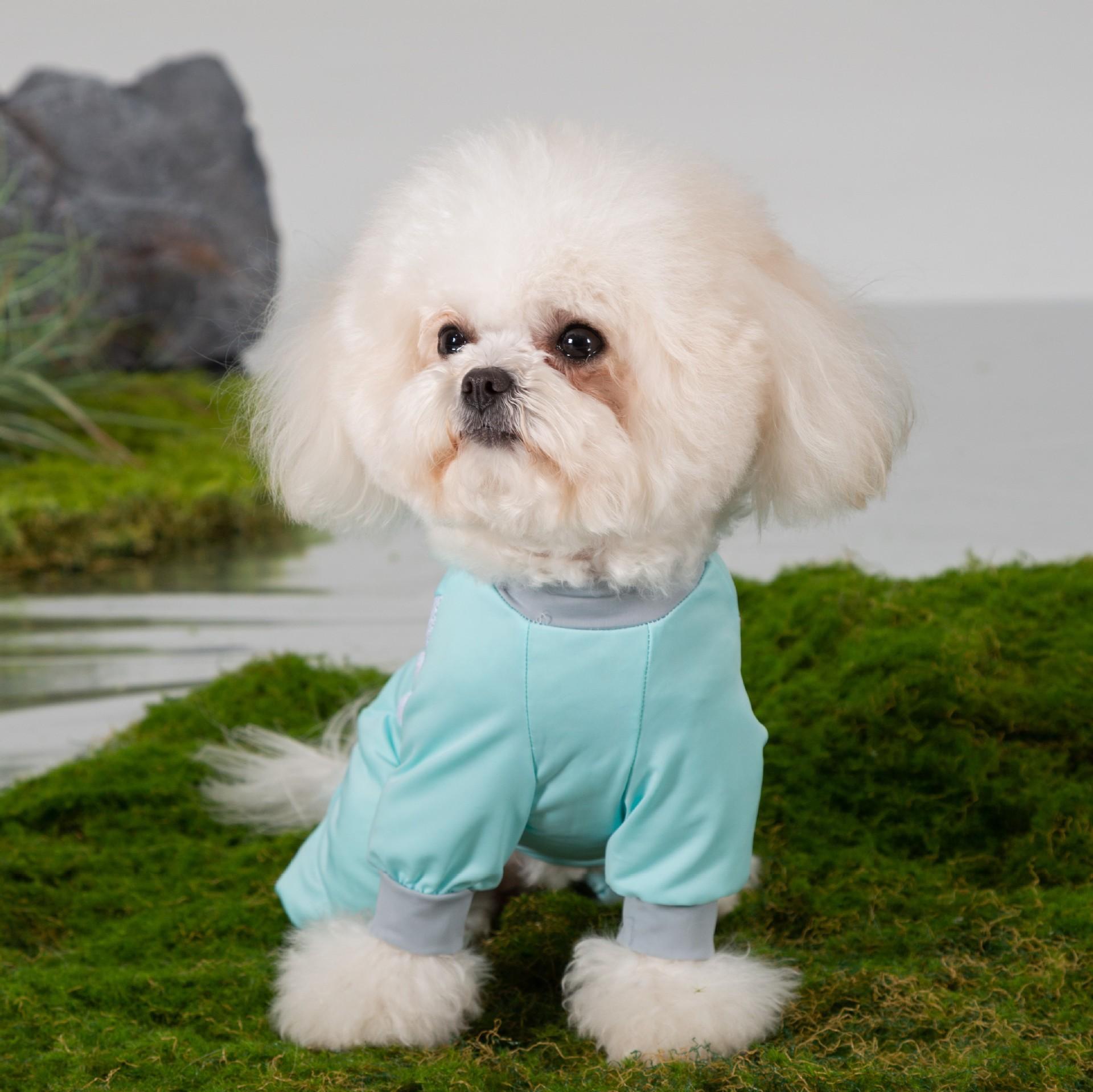 New ice silk mesh dog cool clothes spring and summer cool cooling clothes than bear teddy pet clothes XS синій
New ice silk mesh dog cool clothes spring and summer cool cooling clothes than bear teddy pet clothes XS синій