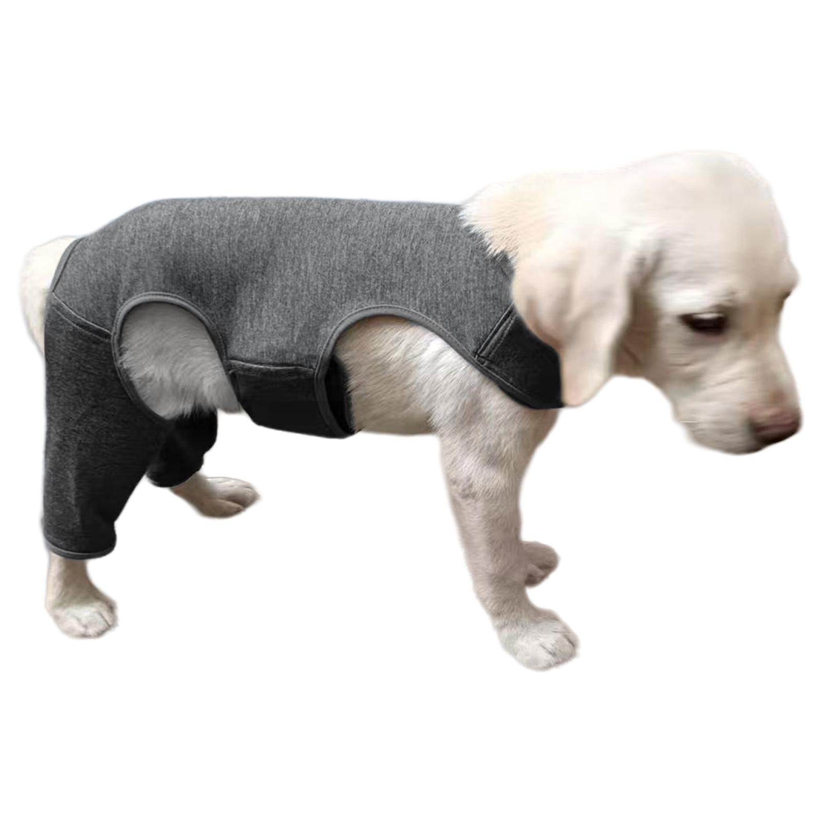 Рукав для задней лапы собаки Предотвращает вылизывание Согревает и защищает Помогает предотвратить растяжения Защитный налокотник для собаки M
Рукав для задней лапы собаки Предотвращает вылизывание Согревает и защищает Помогает предотвратить растяжения Защитный налокотник для собаки M