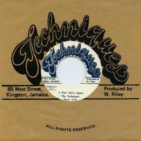 7inch Record TECHNIQUES - I Feel Alive Again / Heart Of A Man DSRWR705 Techniques/Dub 1969 Japan Reggae, Ska & Dub
7inch Record TECHNIQUES - I Feel Alive Again / Heart Of A Man DSRWR705 Techniques/Dub 1969 Japan Reggae, Ska & Dub