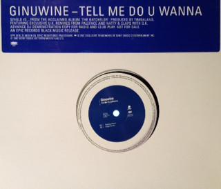 12inch Record GINUWINE - Tell Me Do U Wanna XPR3118 Epic 1997 UK Rap & Hip-Hop/R&B Used
12inch Record GINUWINE - Tell Me Do U Wanna XPR3118 Epic 1997 UK Rap & Hip-Hop/R&B Used