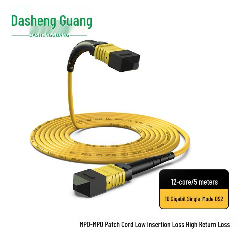 Dasheng Light OS2 Single Mode MPO Fiber Optic Patch Cable 5m
Dasheng Light OS2 Single Mode MPO Fiber Optic Patch Cable 5m