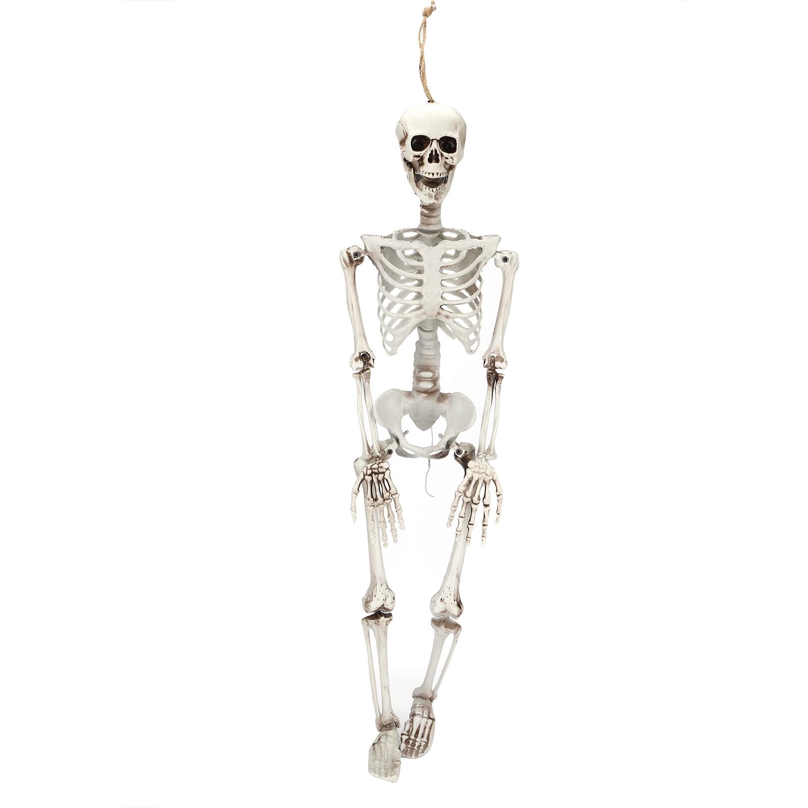Halloween Resin Full Body Skeletons with Movable Joints for Home Costume Party Decoration PropsM Medium
Halloween Resin Full Body Skeletons with Movable Joints for Home Costume Party Decoration PropsM Medium