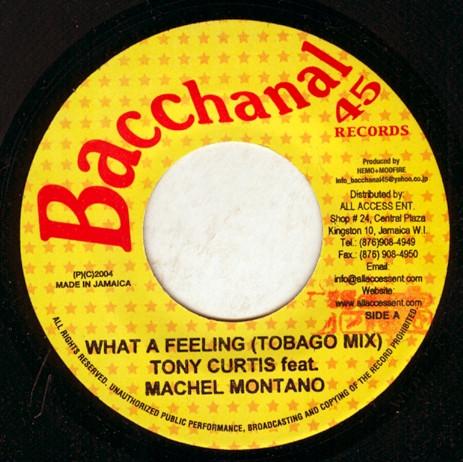 7inch Record TONY CURTIS, MACHEL MONTANO - What A Feeling NONE Bacchanal 45 Re 2004 Jamaica Reggae, Ska & Dub Used
7inch Record TONY CURTIS, MACHEL MONTANO - What A Feeling NONE Bacchanal 45 Re 2004 Jamaica Reggae, Ska & Dub Used