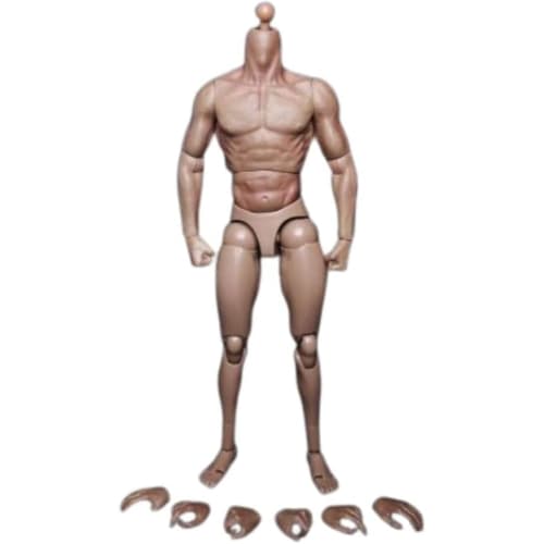 1/6 Head Sculpt Model Fits 12-inch Male Action Figure
1/6 Head Sculpt Model Fits 12-inch Male Action Figure