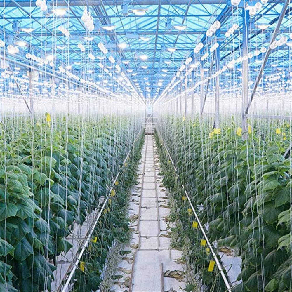 for Tomato,Flower Vine Tomato Clip Tomato Roller Hooks Trellis Rollerhook Planting Support Clamps
for Tomato,Flower Vine Tomato Clip Tomato Roller Hooks Trellis Rollerhook Planting Support Clamps
