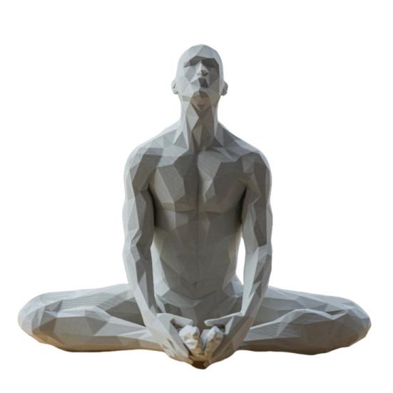 Фигурка человека-йога, абстрактная статуя йоги в позе Падмасана, настольная скульптура медитирующего человека для гостиной, декор комнаты для йоги D
Фигурка человека-йога, абстрактная статуя йоги в позе Падмасана, настольная скульптура медитирующего человека для гостиной, декор комнаты для йоги D