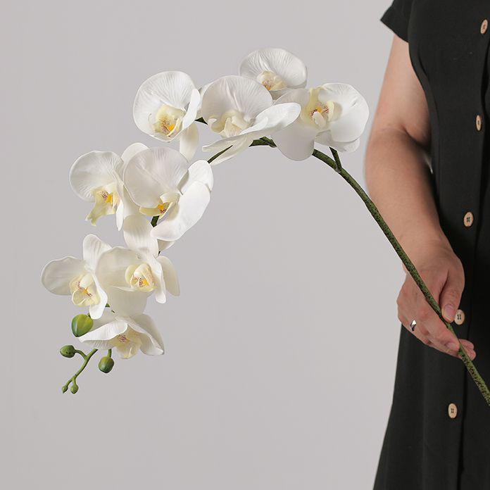 High Branch 9-Head Phalaenopsis Orchid Artificial Flower for Living Room, TV Cabinet, Wedding Arrangement, Floral Decoration. Adjustable Length 9 Heads 1 Piece
High Branch 9-Head Phalaenopsis Orchid Artificial Flower for Living Room, TV Cabinet, Wedding Arrangement, Floral Decoration. Adjustable Length 9 Heads 1 Piece