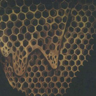 CD TELEFON TEL AVIV - Карта того, что легко ARTPL090PROMO ПЛАСТИНКА Япония Оби Дэнс и Электроника Б/У
CD TELEFON TEL AVIV - Карта того, что легко ARTPL090PROMO ПЛАСТИНКА Япония Оби Дэнс и Электроника Б/У