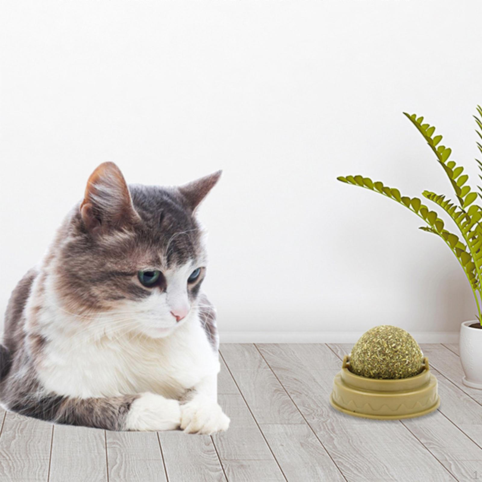 Catnip Toys for Cats Refillable Cat Treats Cleaning Rotatable Licking Toy Kitten Kitty
Catnip Toys for Cats Refillable Cat Treats Cleaning Rotatable Licking Toy Kitten Kitty