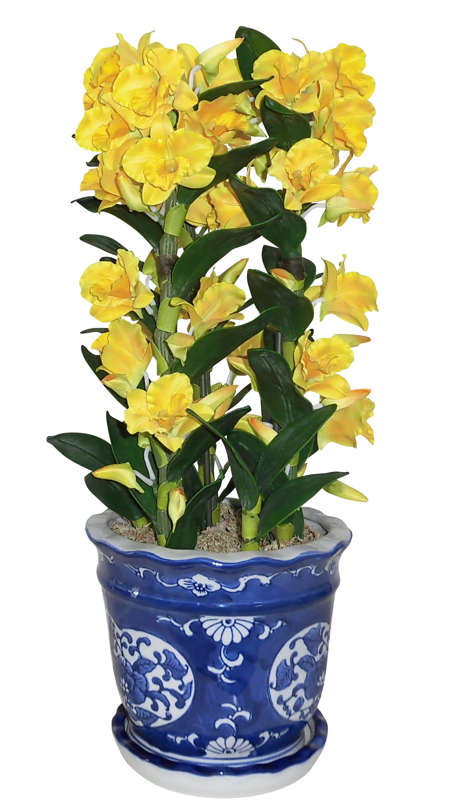 Artificial Orchid Design Photocatalyst Interior Flower Phalaenopsis/Western Traditional Style/Blue Pot (Air Purifying) (Dendrobium-S3 Stems/Yellow)
Artificial Orchid Design Photocatalyst Interior Flower Phalaenopsis/Western Traditional Style/Blue Pot (Air Purifying) (Dendrobium-S3 Stems/Yellow)