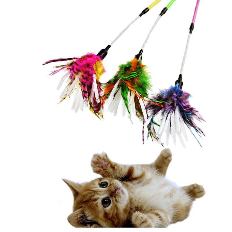 Paper Fiber Spiral Chicken Feather Rod Cat Stick Feather Cat Stick Plastic Cat Supplies Cat Toys
Paper Fiber Spiral Chicken Feather Rod Cat Stick Feather Cat Stick Plastic Cat Supplies Cat Toys