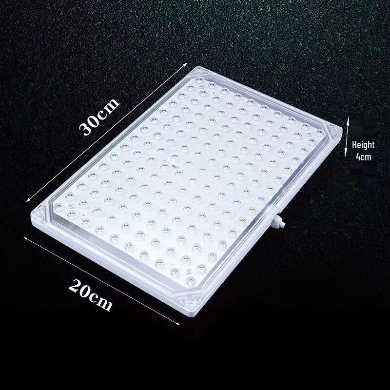 Industrial Three-Proof Rechargeable Cold Storage LED Light
Industrial Three-Proof Rechargeable Cold Storage LED Light