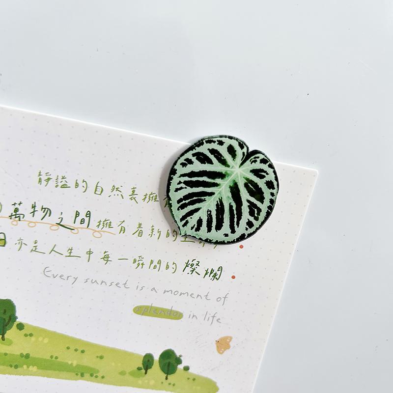 Plants Leaves Fridge Magnet Pink Princess Plant Refrigerator Sticker Acrylic Simulation Leaf Magnet Sticker Home Kitchen Decor
Plants Leaves Fridge Magnet Pink Princess Plant Refrigerator Sticker Acrylic Simulation Leaf Magnet Sticker Home Kitchen Decor