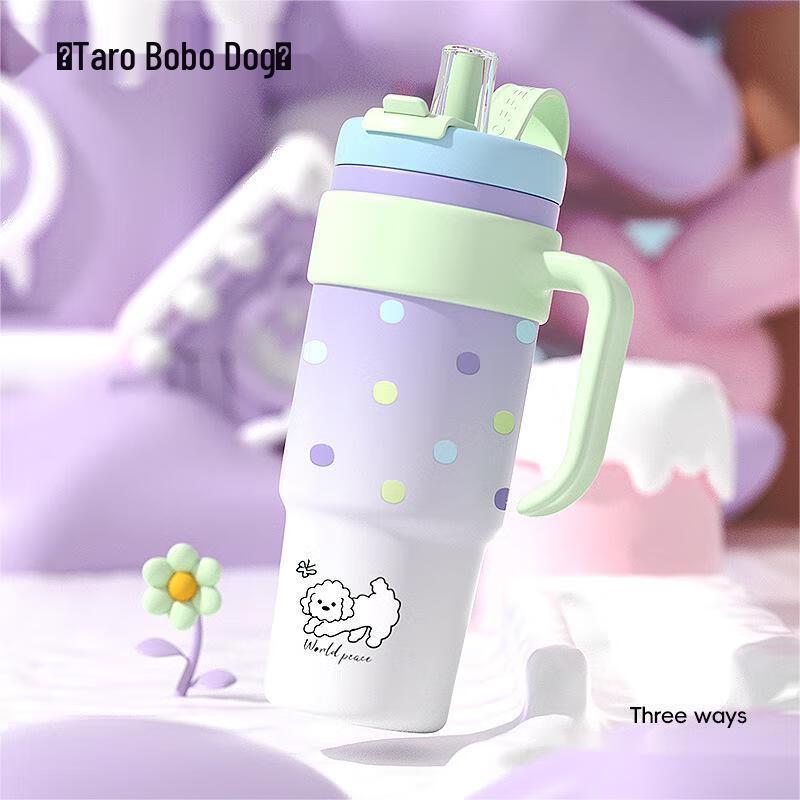 Large Insulated Water Bottle with Straw
Large Insulated Water Bottle with Straw