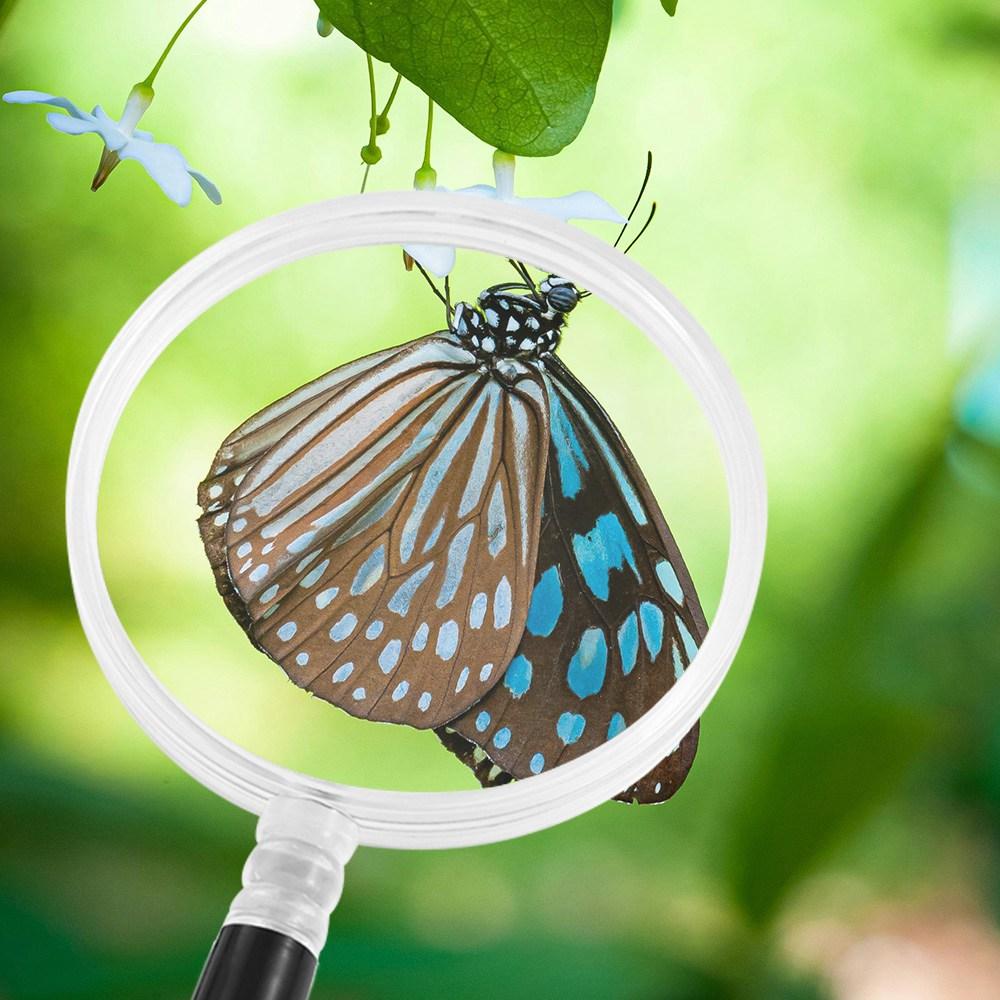 Magnifying Lens Handheld Magnifying Glass Creative Stationery Tools Tiny Objects 1 Pc
Magnifying Lens Handheld Magnifying Glass Creative Stationery Tools Tiny Objects 1 Pc