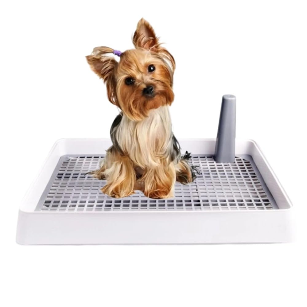 Itisyou Dog Toilet Dog Pet Toilet Dog Toilet Dog Toilet Training Step Dog Toilet Prevents Extrusion Tray, Toilet, Tray, Training, Tray, Tray,
Itisyou Dog Toilet Dog Pet Toilet Dog Toilet Dog Toilet Training Step Dog Toilet Prevents Extrusion Tray, Toilet, Tray, Training, Tray, Tray,