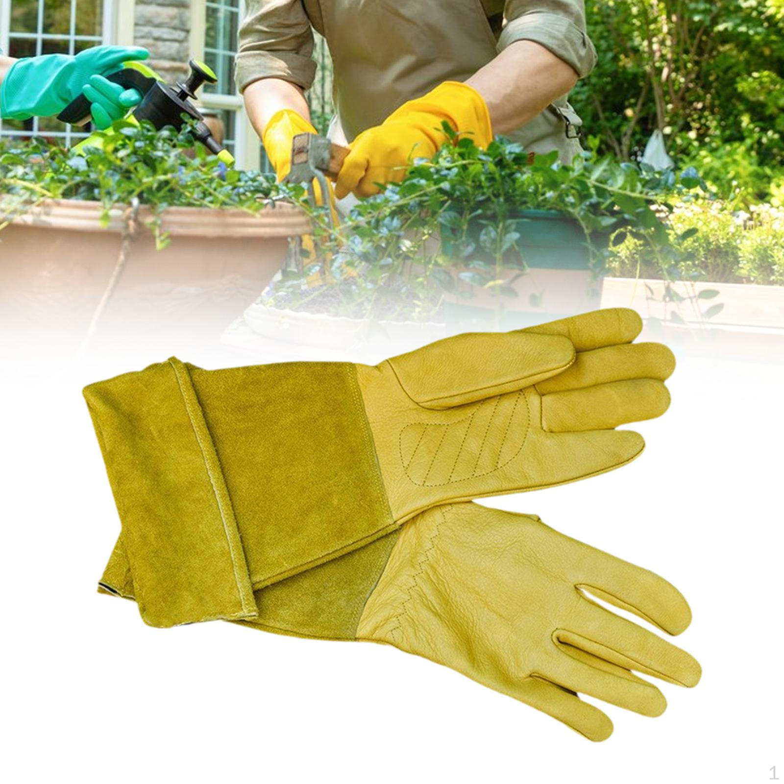 Садові квіткові рукавички з товстою пальмою Довге садівництво для жінок і чоловіків XL
Садові квіткові рукавички з товстою пальмою Довге садівництво для жінок і чоловіків XL