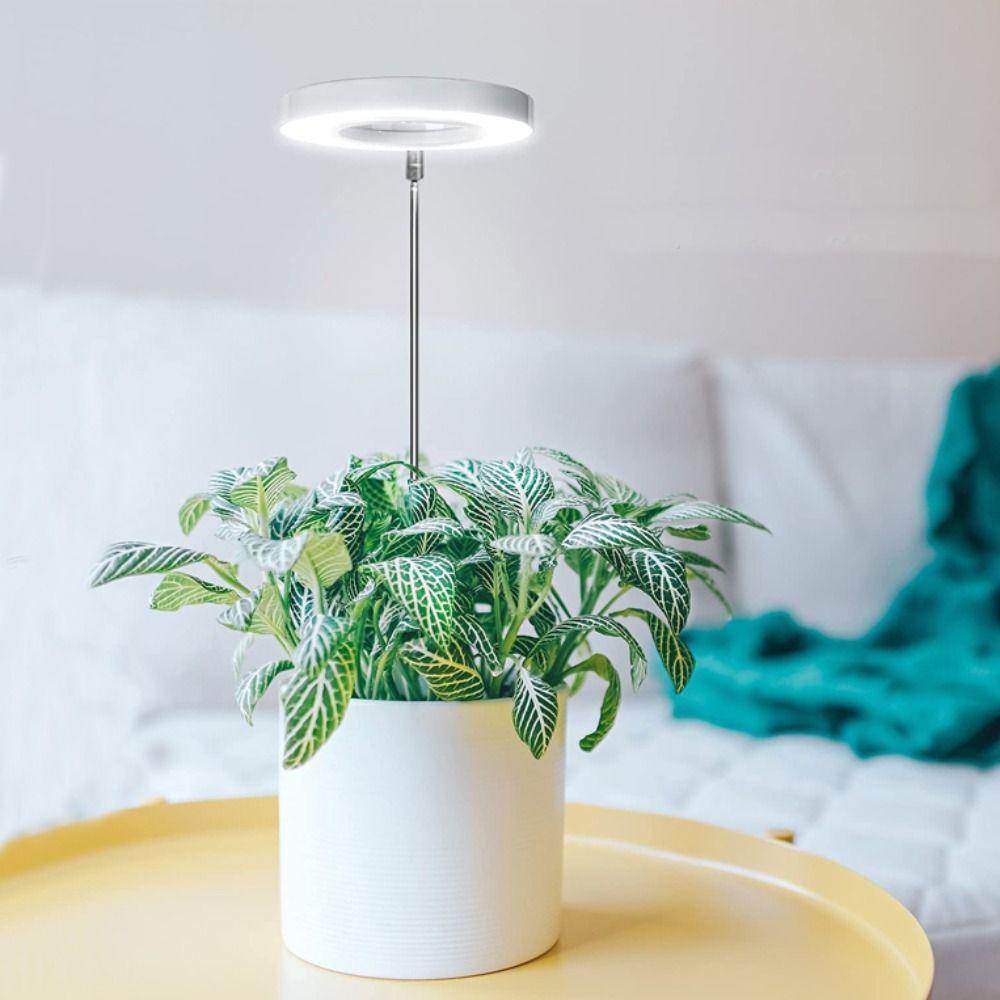 5V Effective Seedling Flower Potted Full Spectrum Plant Light LED Light Ring Light Growing Lamp purple-one light
5V Effective Seedling Flower Potted Full Spectrum Plant Light LED Light Ring Light Growing Lamp purple-one light