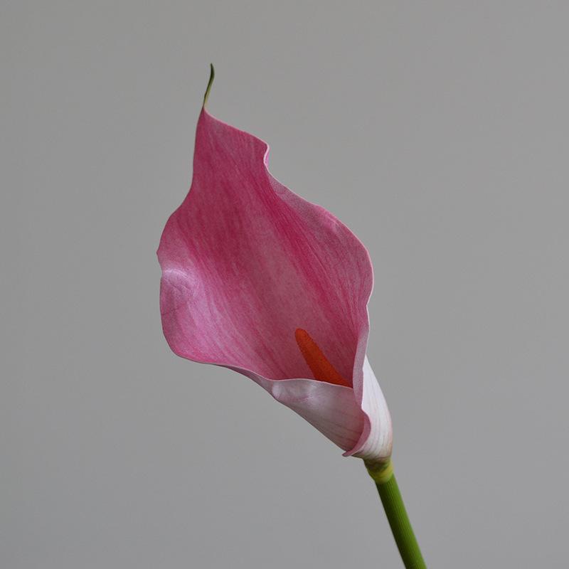 Artificial Calla lily EVA simulated flower fake flower soft wedding bouquet home decoration рожевий
Artificial Calla lily EVA simulated flower fake flower soft wedding bouquet home decoration рожевий