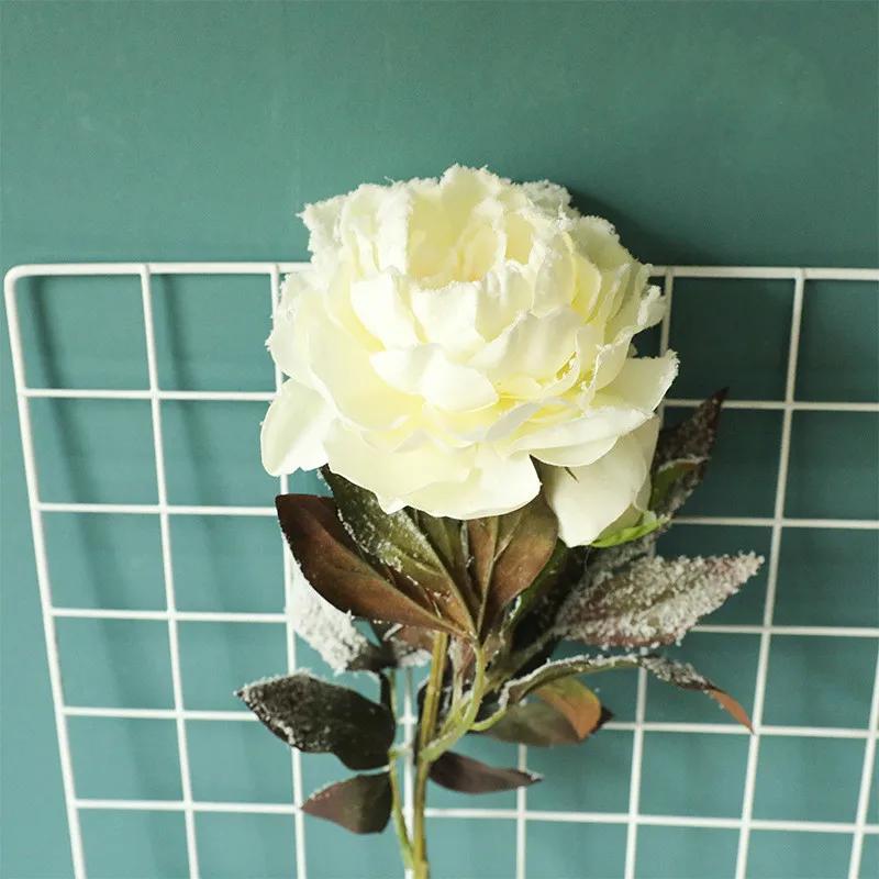 1 шт. Домашнее украшение свадебный искусственный цветок рождественский снежный пион имитация цветка бежевый
1 шт. Домашнее украшение свадебный искусственный цветок рождественский снежный пион имитация цветка бежевый