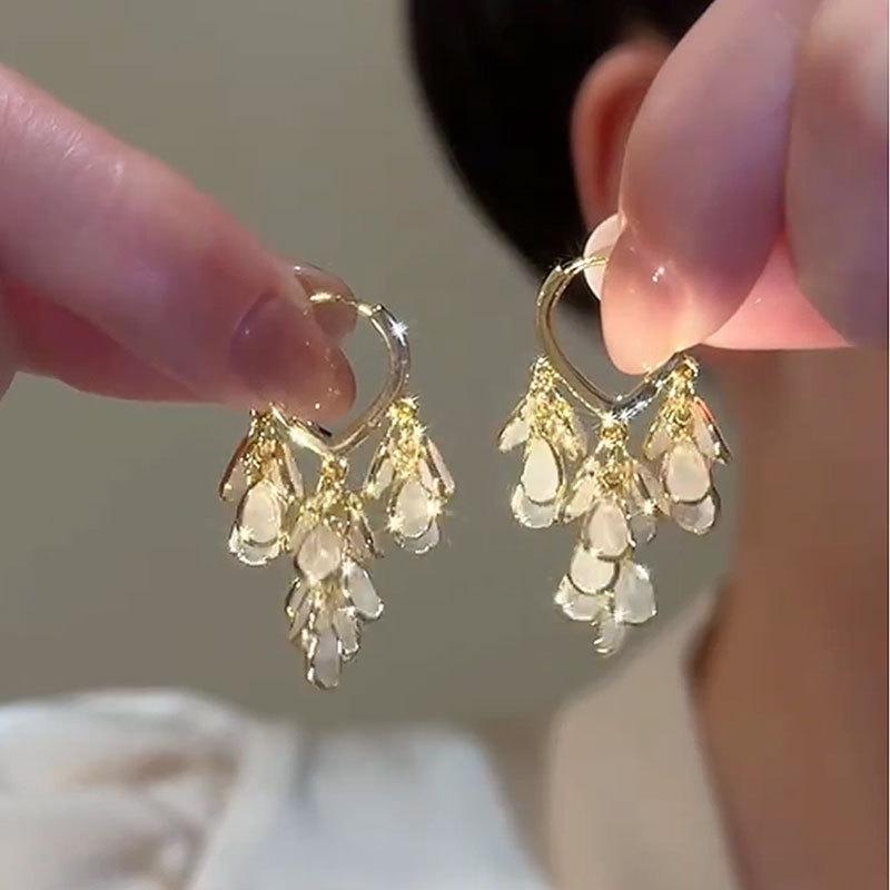 Tassel earrings temperament light luxury high sense ear buckle fashion personality versatile earrings women
Tassel earrings temperament light luxury high sense ear buckle fashion personality versatile earrings women