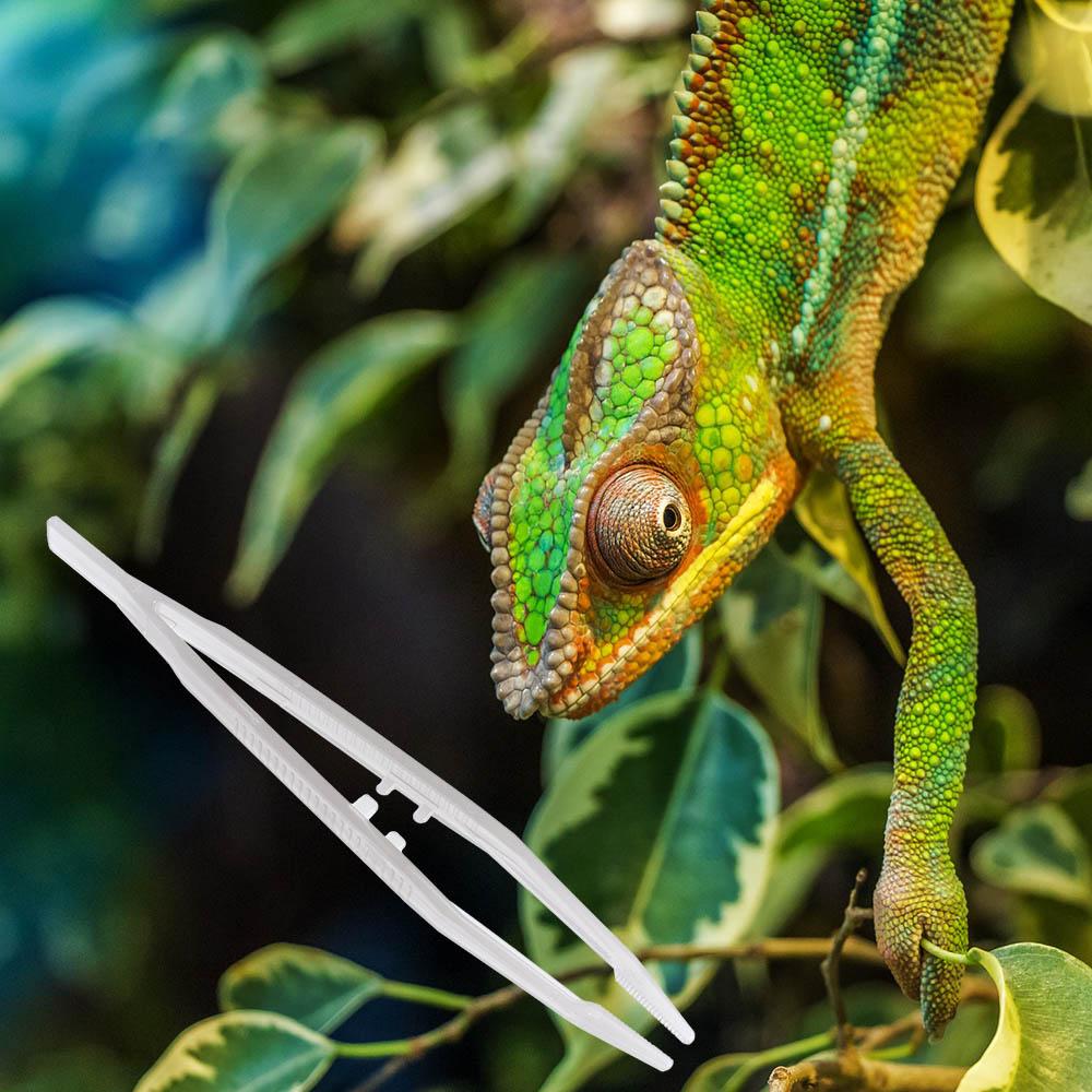 Snake Washable Straight Tweezer Animal Feeder Clamp Tortoise Feeding Tongs Reptile Feeding Tweezer белый
Snake Washable Straight Tweezer Animal Feeder Clamp Tortoise Feeding Tongs Reptile Feeding Tweezer белый