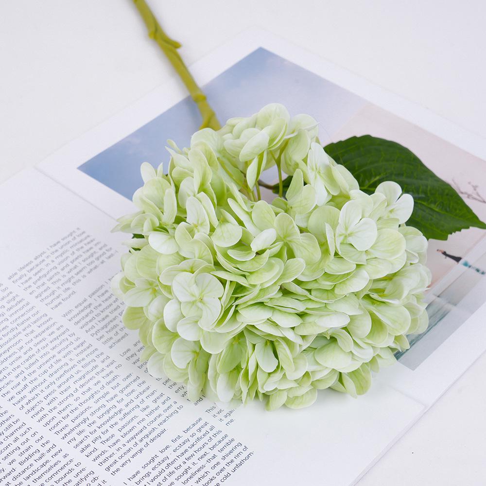Имитация гортензии, увлажняющая большая ветка из мягкого клея, букет гортензии, украшение для дома и свадьбы, искусственный цветок светло-зеленый
Имитация гортензии, увлажняющая большая ветка из мягкого клея, букет гортензии, украшение для дома и свадьбы, искусственный цветок светло-зеленый