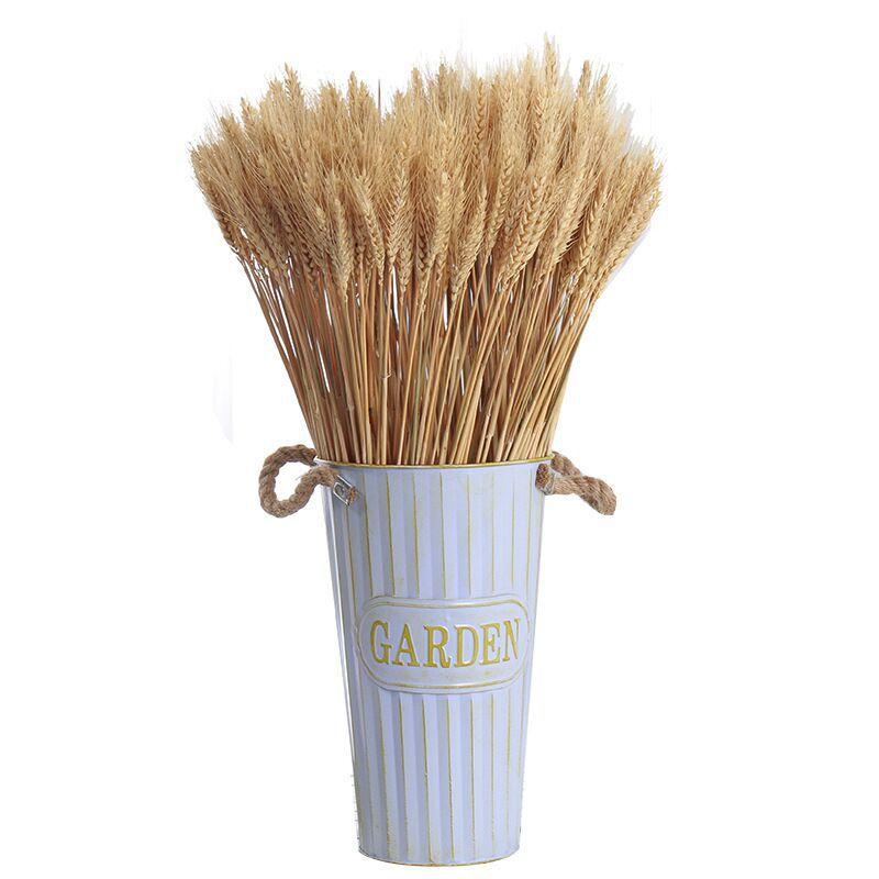 100pcs Dried Wheat Stalks Bouquet Natural Wheatgrass Dried Flowers for Home Decoration Wedding Craft DIY Floral Arrangements and Gifts One Size хакі
100pcs Dried Wheat Stalks Bouquet Natural Wheatgrass Dried Flowers for Home Decoration Wedding Craft DIY Floral Arrangements and Gifts One Size хакі