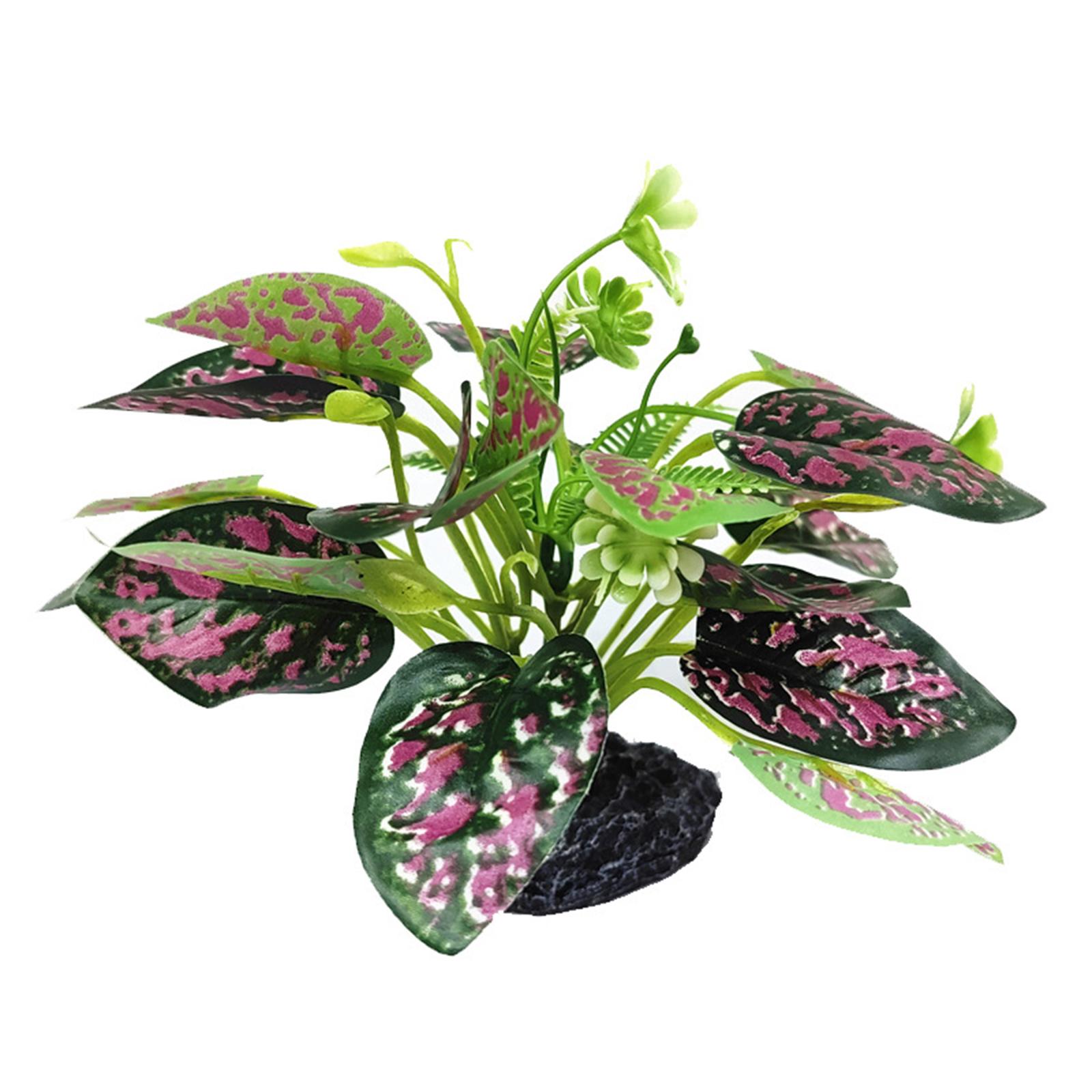 Имитация растений-рептилий для декора террариума, реалистичные искусственные водные растения для декора среды обитания амфибий, змееголовая черепаха BY-08
Имитация растений-рептилий для декора террариума, реалистичные искусственные водные растения для декора среды обитания амфибий, змееголовая черепаха BY-08