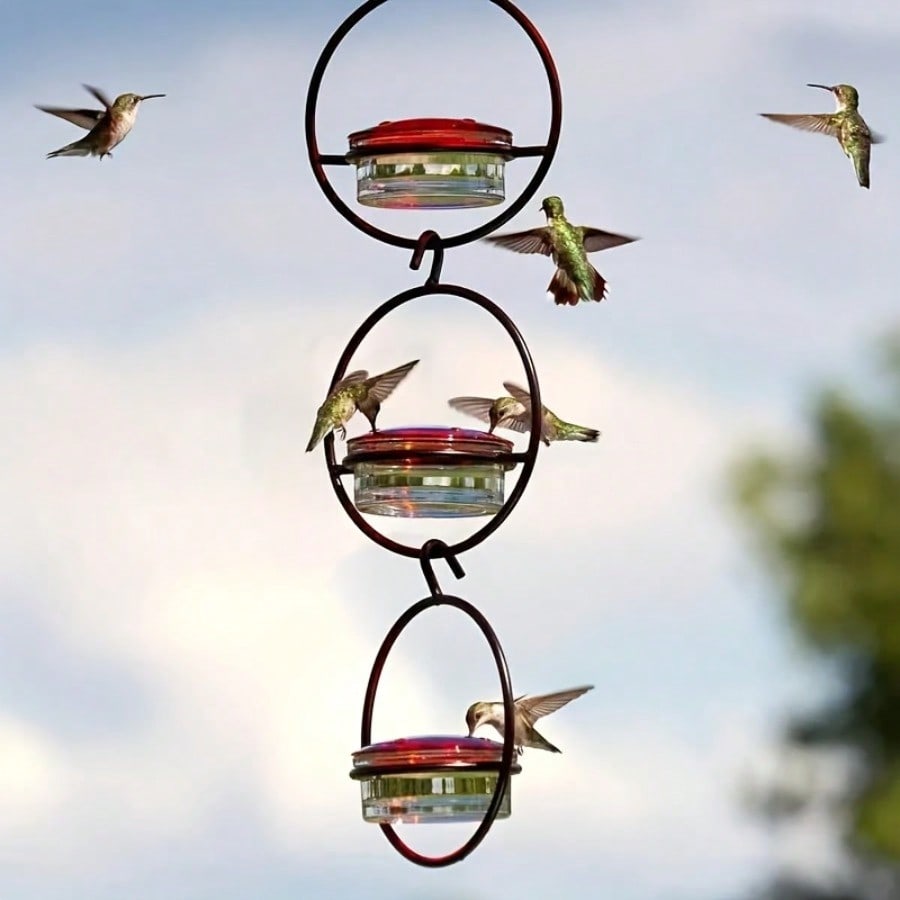 3pcs Metal Hanging Hummingbird Feeder With Red Bottles, Transparent Design & Perches - No Electricity/Battery Needed
3pcs Metal Hanging Hummingbird Feeder With Red Bottles, Transparent Design & Perches - No Electricity/Battery Needed
