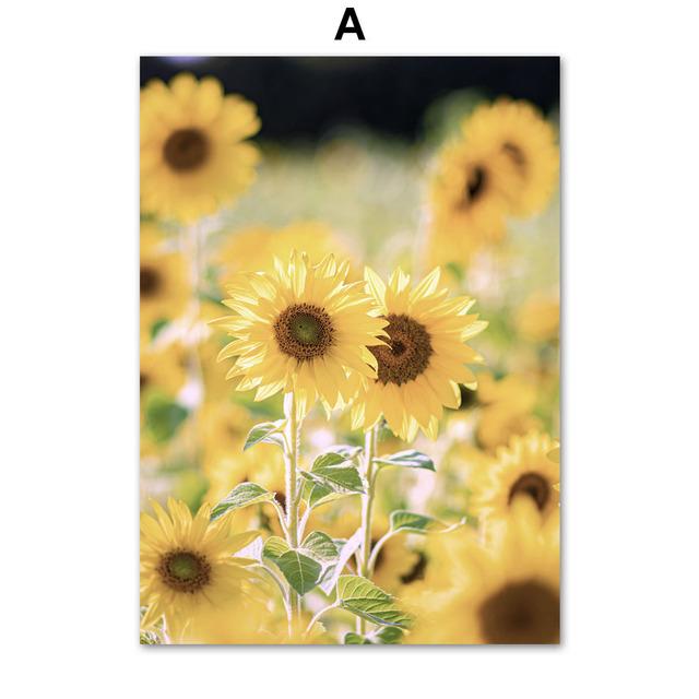Подсолнух, одуванчик, тростник, бабочка, настенная живопись на холсте, плакаты на скандинавскую тему и принты, настенные панно для гостиной, домашний декор 21cm×30cm NoFrame
Подсолнух, одуванчик, тростник, бабочка, настенная живопись на холсте, плакаты на скандинавскую тему и принты, настенные панно для гостиной, домашний декор 21cm×30cm NoFrame