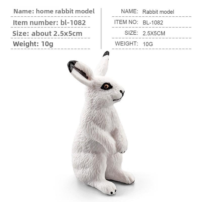 Simulated White Gray Brown Wild Rabbit Model Desktop Ornament For Kids Education Style 6
Simulated White Gray Brown Wild Rabbit Model Desktop Ornament For Kids Education Style 6