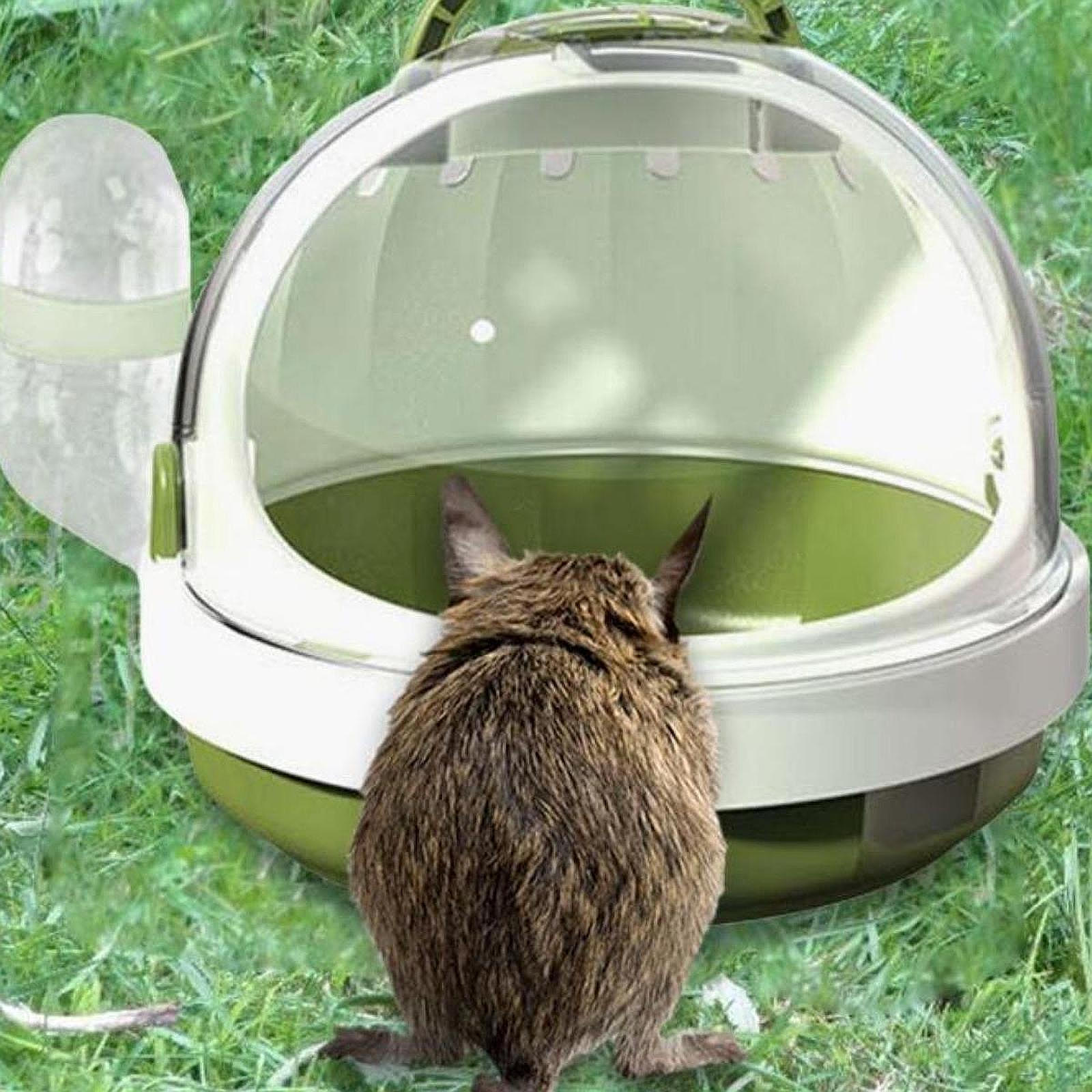 Compact Hamster Travel Carrier for Small Pets зелений
Compact Hamster Travel Carrier for Small Pets зелений