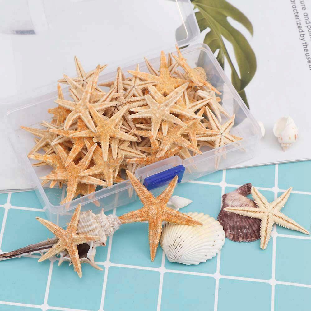 Epoxy Resin for Aquatic Pet Crafts Starfish Aquarium Supplies Resin Casting Fish Tank Decoration 3-5cm-20pcs
Epoxy Resin for Aquatic Pet Crafts Starfish Aquarium Supplies Resin Casting Fish Tank Decoration 3-5cm-20pcs