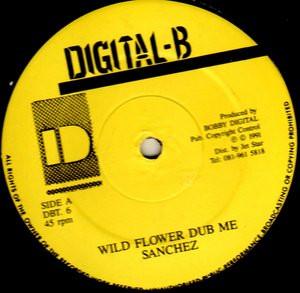 12inch Record SANCHEZ - Wild Flower Dub Me/Wildflower (Dub) DBT6 Digital-B 1991 UK Reggae, Ska & Dub Used
12inch Record SANCHEZ - Wild Flower Dub Me/Wildflower (Dub) DBT6 Digital-B 1991 UK Reggae, Ska & Dub Used