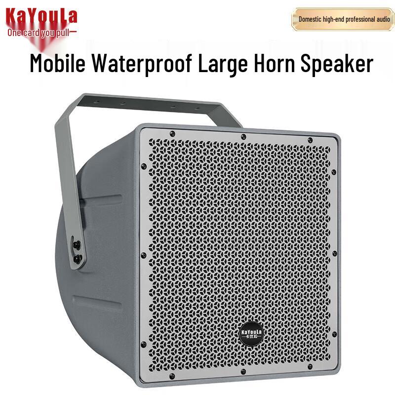 KaYouLa 10-inch Professional Passive Full-range Speaker
KaYouLa 10-inch Professional Passive Full-range Speaker