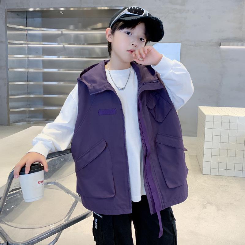 2025 Мальчиковый жилет в корейском стиле с капюшоном - Осенняя мода для детей 130 cm фиолетовый
2025 Мальчиковый жилет в корейском стиле с капюшоном - Осенняя мода для детей 130 cm фиолетовый