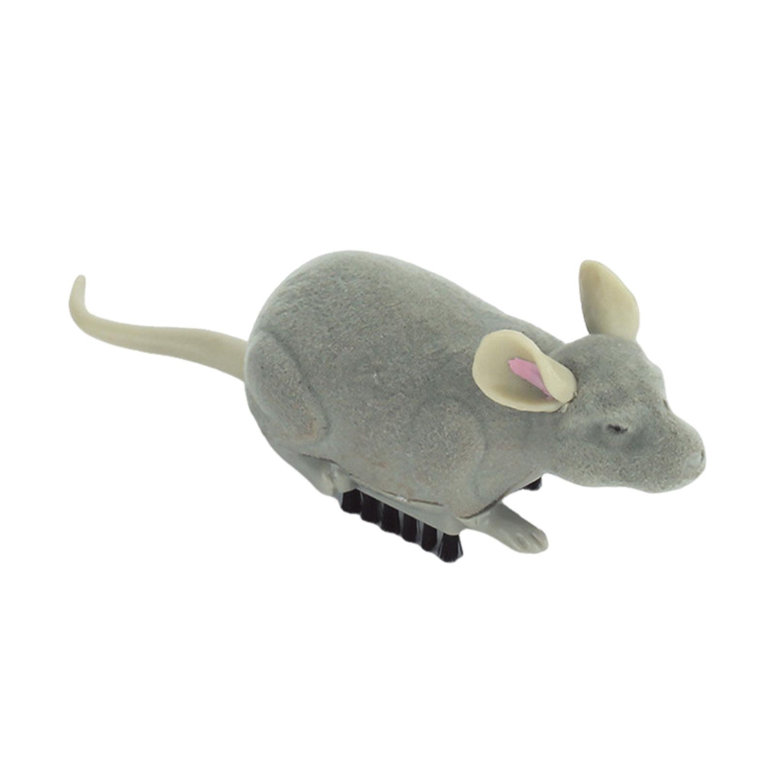 Электрическая мышь Игрушки для кошек Мягкая мышь Взаимодействие с домашними животными Игрушка Крыса Игрушка для кошек Интерактивная игрушка Таракан Паук Интерактивный
Электрическая мышь Игрушки для кошек Мягкая мышь Взаимодействие с домашними животными Игрушка Крыса Игрушка для кошек Интерактивная игрушка Таракан Паук Интерактивный