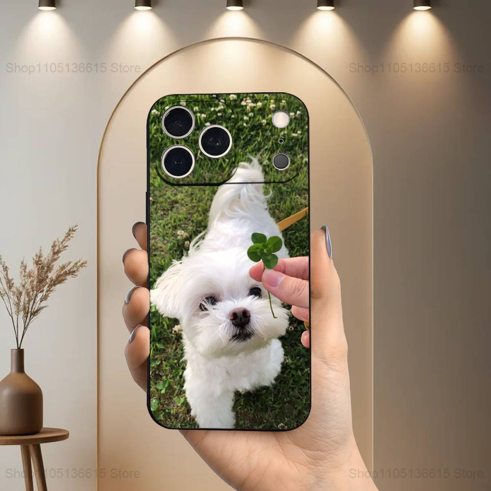 Cute animal Maltese Dogs Phone Case For iPhone 15,14,13,17,16,12,11,Plus,Pro Max,XS,X,Mini,8,7,XR,SE,Soft Silicone Black iPhoneXR
Cute animal Maltese Dogs Phone Case For iPhone 15,14,13,17,16,12,11,Plus,Pro Max,XS,X,Mini,8,7,XR,SE,Soft Silicone Black iPhoneXR