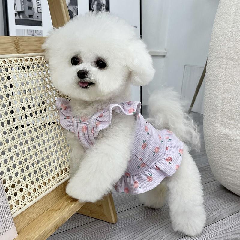 Одежда принцессы для собак, маленькая собака, свадебное платье, платье принцессы, весна-лето, мягкая милая юбка с развевающимися рукавами, одежда для домашних животных M фиолетовый
Одежда принцессы для собак, маленькая собака, свадебное платье, платье принцессы, весна-лето, мягкая милая юбка с развевающимися рукавами, одежда для домашних животных M фиолетовый