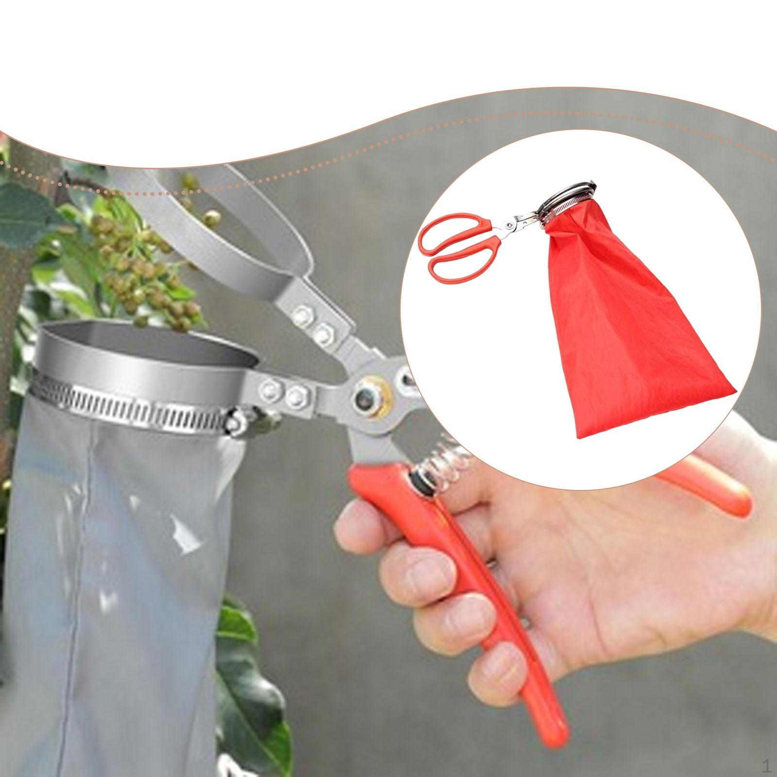 Jujube Picker Dates Picking Tool Portable Manual Efficient Professional Gadget Fruit
Jujube Picker Dates Picking Tool Portable Manual Efficient Professional Gadget Fruit