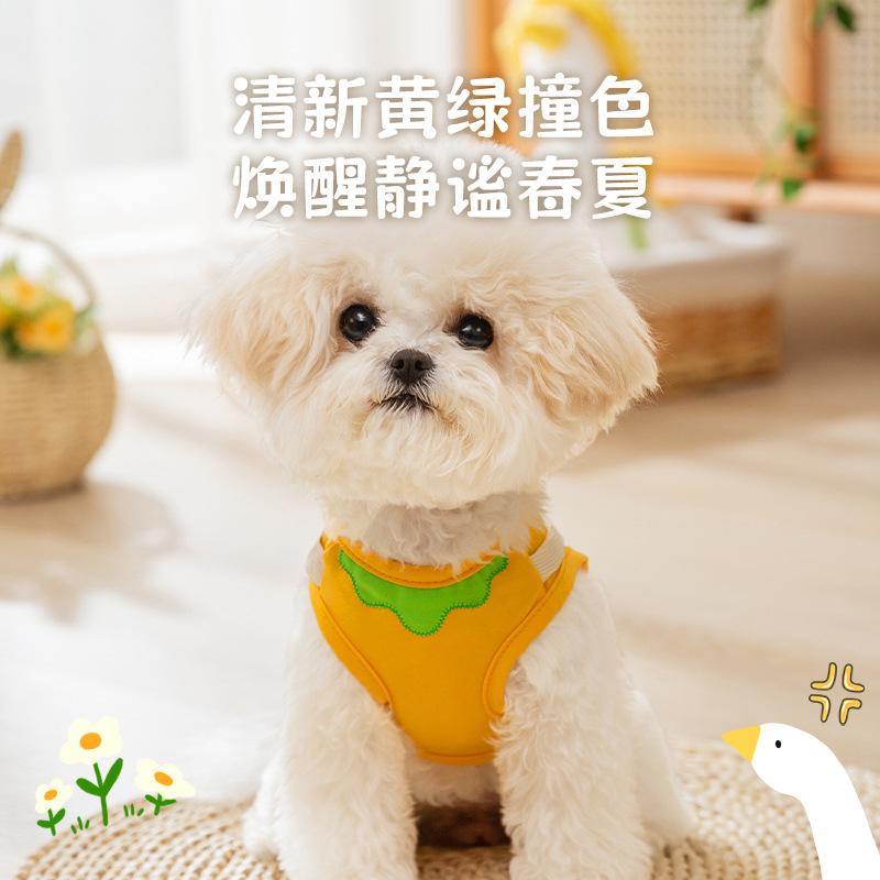 Fresh spring and summer clothing dog cat small dog all-purpose clothing teddy bear puppy pet clothing XXL (recommended weight 15-10kg)
Fresh spring and summer clothing dog cat small dog all-purpose clothing teddy bear puppy pet clothing XXL (recommended weight 15-10kg)