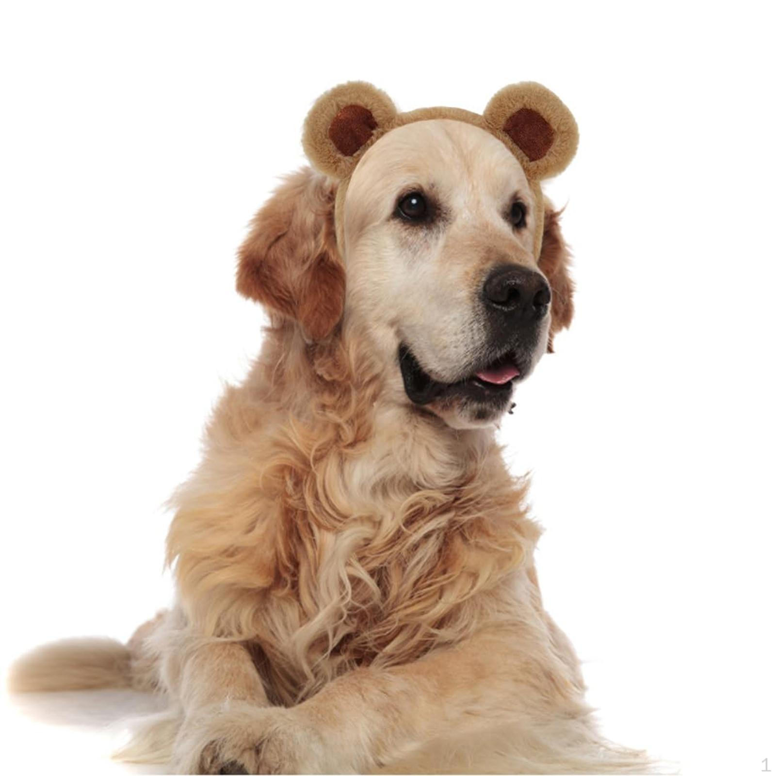 Повязка на голову с медвежьими ушками, мягкий милый обруч для волос, головной убор для тематической вечеринки, косплея, нарядный
Повязка на голову с медвежьими ушками, мягкий милый обруч для волос, головной убор для тематической вечеринки, косплея, нарядный